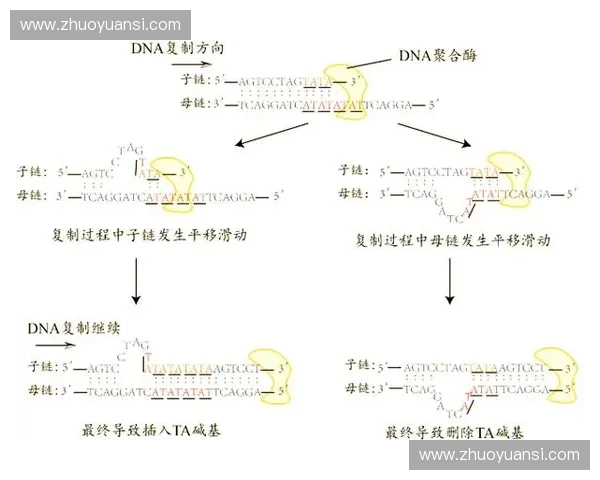 聚焦事物发展爆发阶段的关键特征与转折动力解析机制演化路径与影响